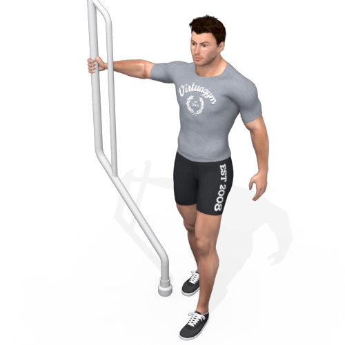 Reverse Fly Standing Video Exercise Guide