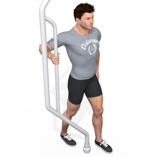 Horizontal Row Standing Video Exercise Guide