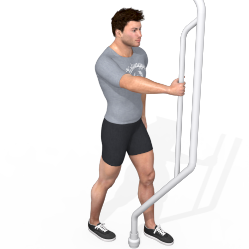 Chest Press Standing Video Exercise Guide