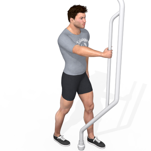 Chest Press Standing Video Exercise Guide