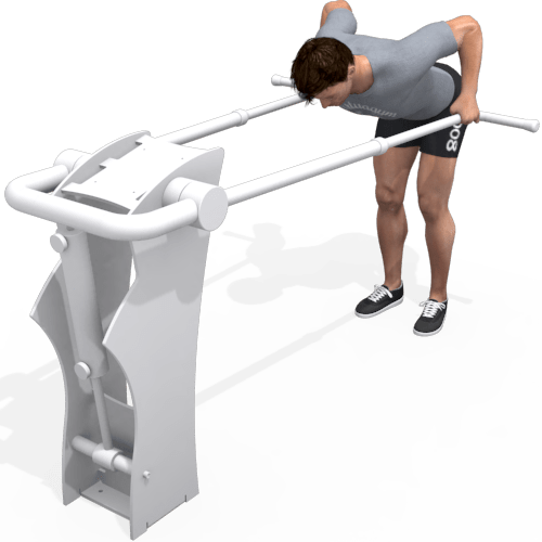Bentover Row Machine Video Exercise Guide
