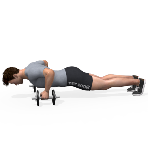 Dumbbells Push Up Video Exercise Guide