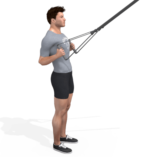 Suspension Trainer Squat And Pull Video Exercise Guide