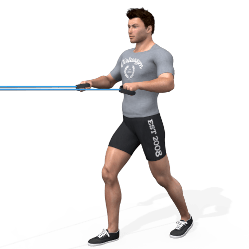 Elastics Row Wide Video Exercise Guide