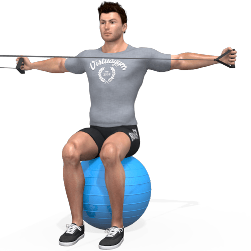 Pulley Reverse Fly Seated Video Exercise Guide