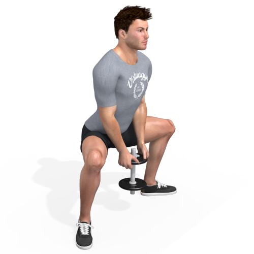 Dumbbells Sumo Squat Video Exercise Guide