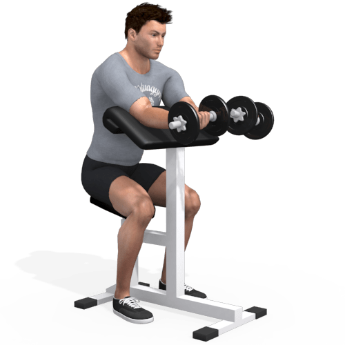 Dumbbells Preacher Curl Video Exercise Guide