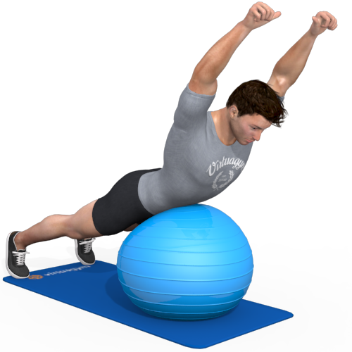 Exercise Ball Balanced Arm Raise Video Exercise Guide