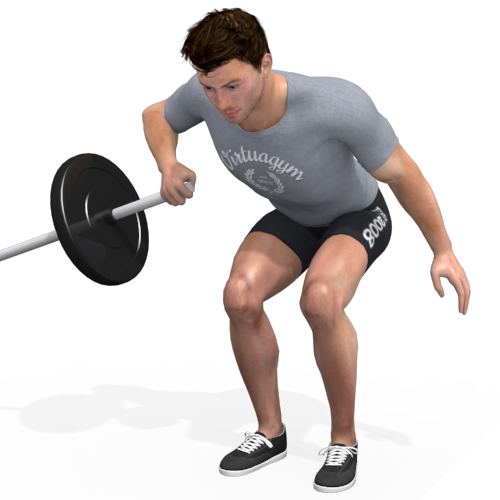 Landmine Bent Over Row Video Exercise Guide 