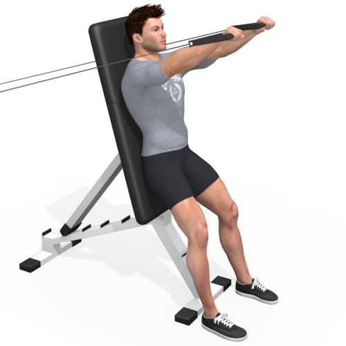 Pulley Chest Press Leaning Video Exercise Guide