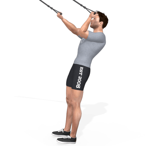 Suspension Trainer Biceps Curl Arm Extended Iso Video Exercise Guide