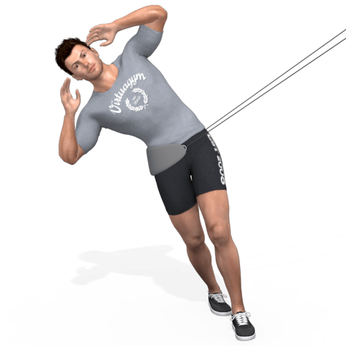 Suspension Trainer Lateral Flexion With Large Sling Video Exercise Guide