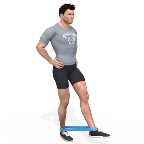 Resistance Band Leg Abduction Video Exercise Guide 8853