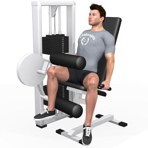 Leg Curl Seated Machine Video Exercise Guide