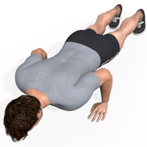 Pushup Hold Video Exercise Guide