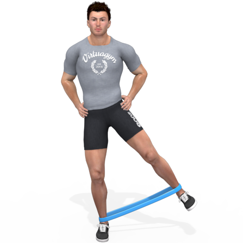 Resistance Band Hip Abduction Alternating Video Exercise Guide