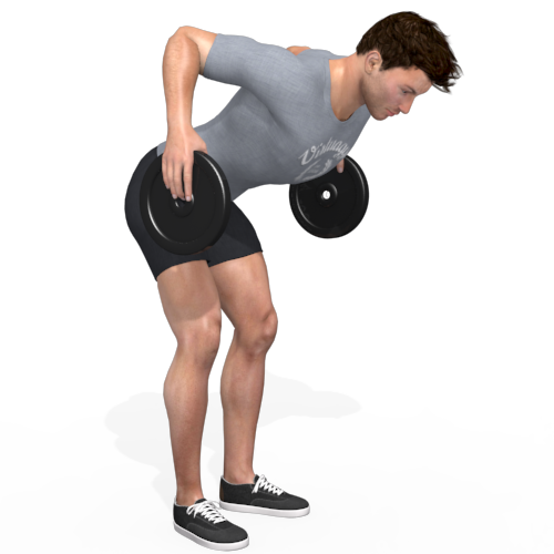 Weight Plate Bent Over Row Video Exercise Guide 