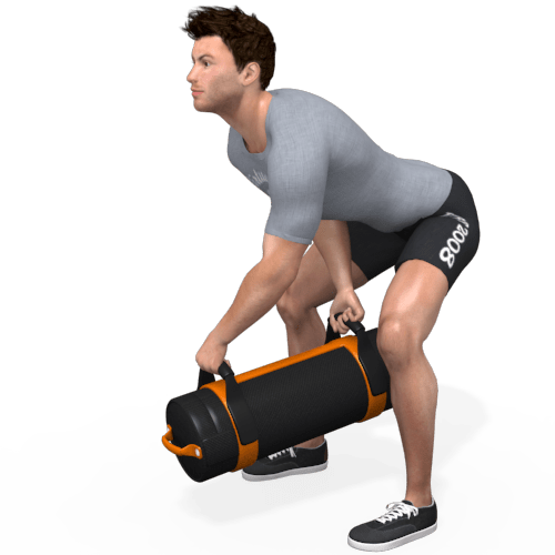 Sandbag Two Handed Swing (alternating) Video Exercise Guide