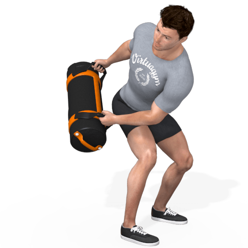 Sandbag Side Swings Video Exercise Guide