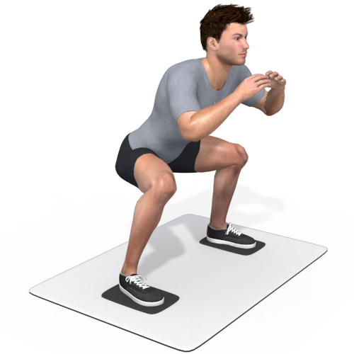 Flowin Squat Video Exercise Guide