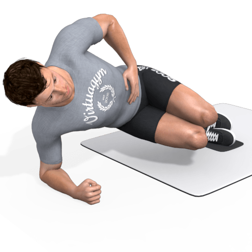 Flowin Side Plank Reverse Crunch Video Exercise Guide
