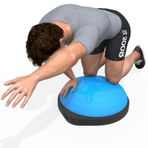 Bosu Bird Dog Video Exercise Guide