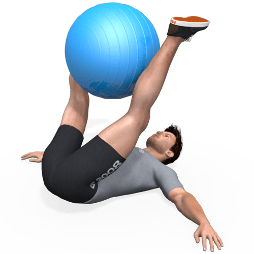 Exercise Ball Reverse Crunch Far Video Exercise Guide