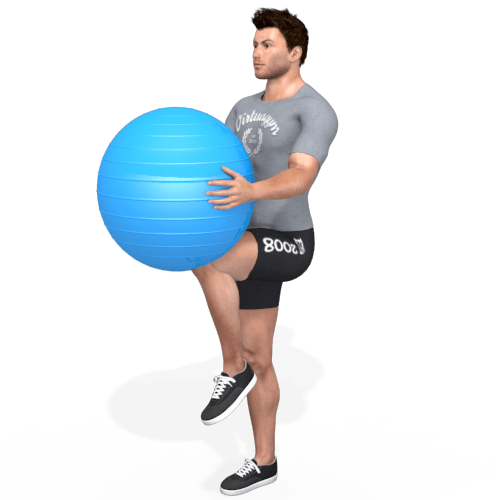 Exercise Ball Knee Ups Video Exercise Guide