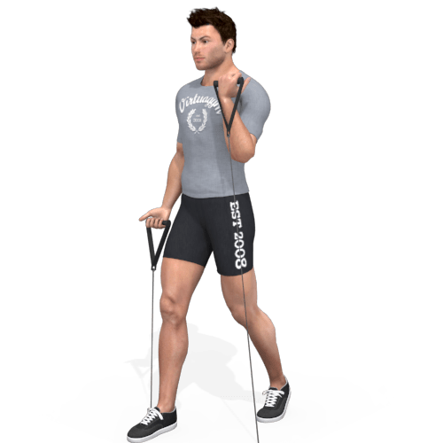 Pulley Bicep Curl Video Exercise Guide