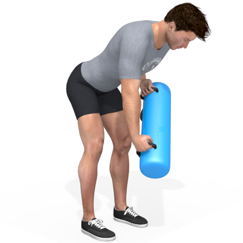 Aquabag Bent Over Row Alternating Video Exercise Guide 