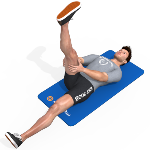 Lying Leg Extension Supported Video Exercise Guide