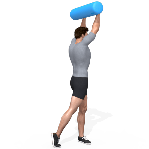 Aquabag Rotated Shoulder Press Video Exercise Guide