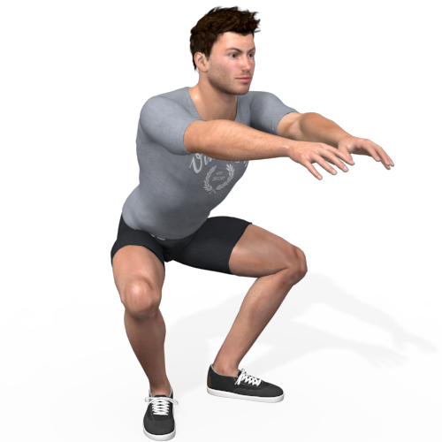 Air Squat Sumo Narrow Stance Video Exercise Guide