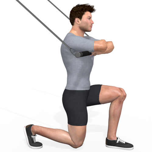 Pulley Assisted Split Squat Video Exercise Guide