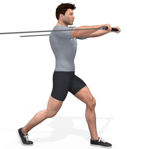 Pulley Chest Press Standing Explosive Split Stance Video Exercise Guide