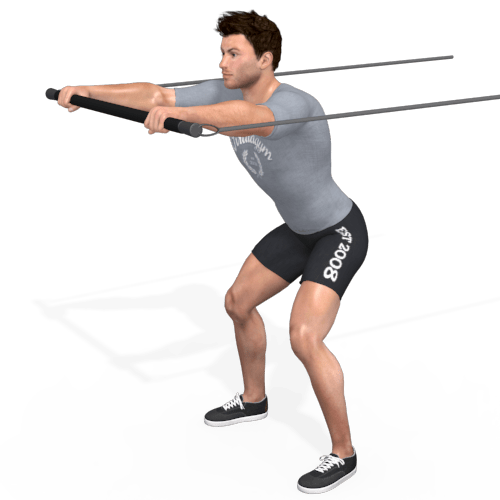 Pulley Chest Press Standing Explosive Sumo Stance Video Exercise Guide