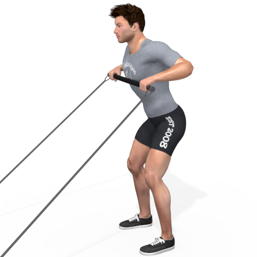 Pulley Bent Over Row Video Exercise Guide 
