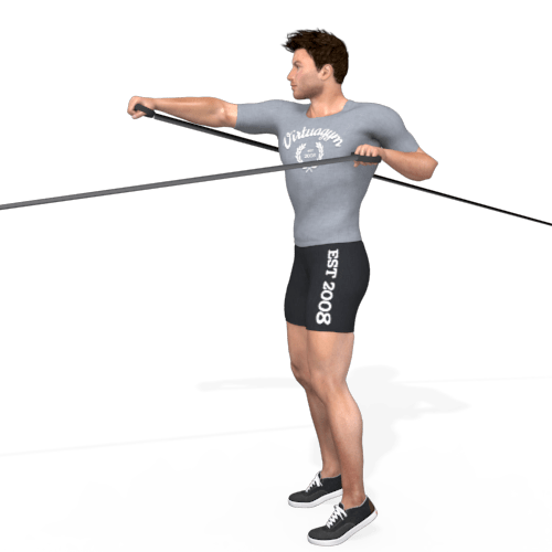 Pulley Push Pull Squat Position Video Exercise Guide