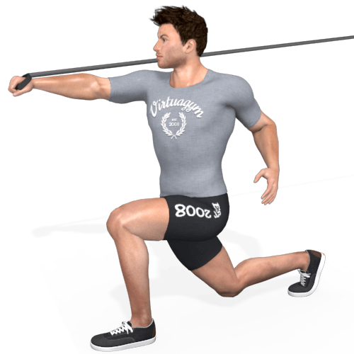 Pulley Lunge One Arm Push Video Exercise Guide
