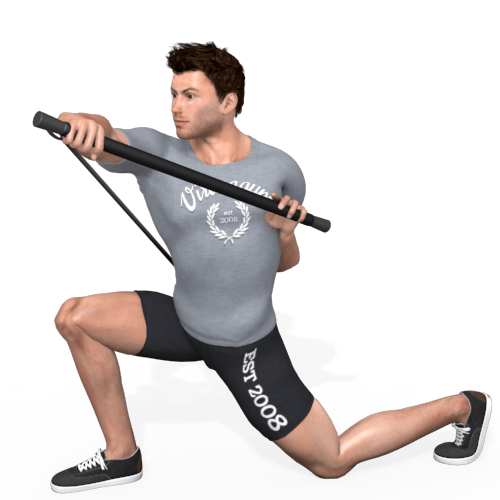 Pulley Rotation Kneeling Position Video Exercise Guide