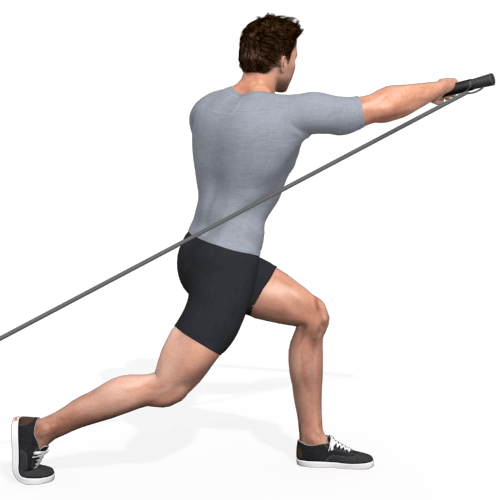 Pulley Pull Push Rotation Backwards Video Exercise Guide