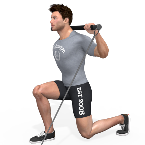 Pulley Lunge Forward Video Exercise Guide