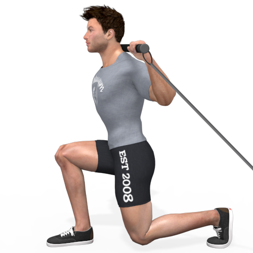 Pulley Lunge Forwards (alternating) Video Exercise Guide