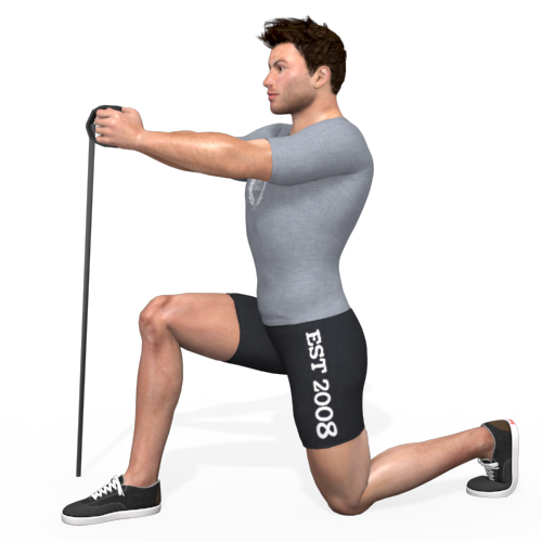 Pulley Pallof Press Kneeling Open Video Exercise Guide