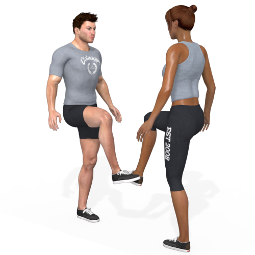 Leg Adduction Standing High Video Exercise Guide