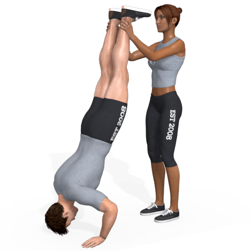 Handstand Push Up Video Exercise Guide