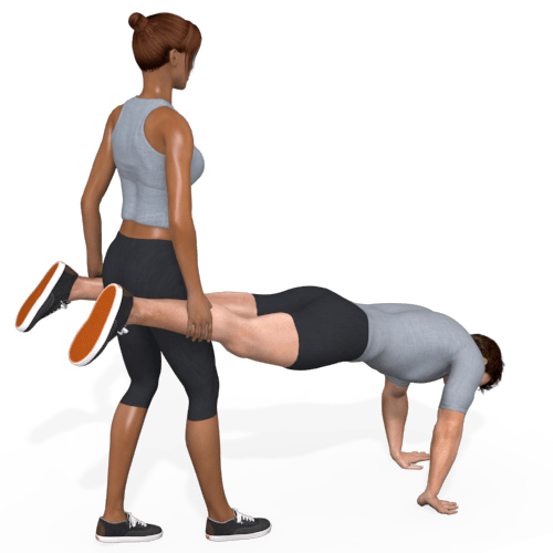 Wheelbarrow Video Exercise Guide