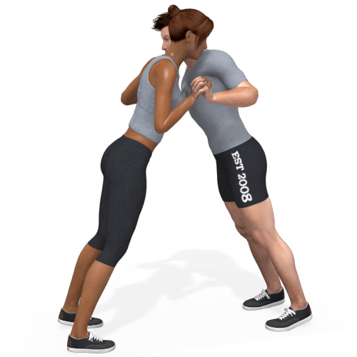 Pushup Standing Video Exercise Guide