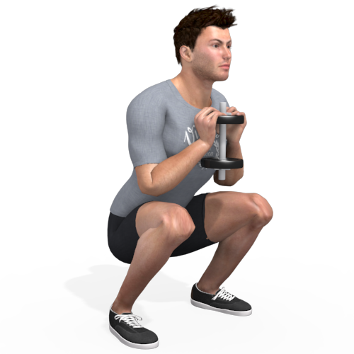 Dumbbells Goblet Squat Pulse Video Exercise Guide