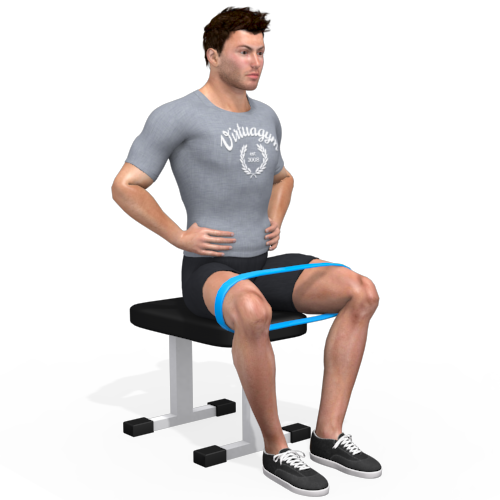 Resistance Band Hip Abduction Seated Video Exercise Guide